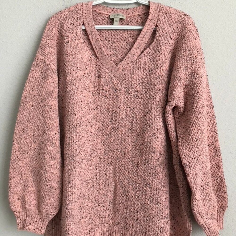 AnyBody Pink V-Neck Sweater